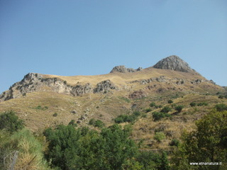 Monte Naturi
